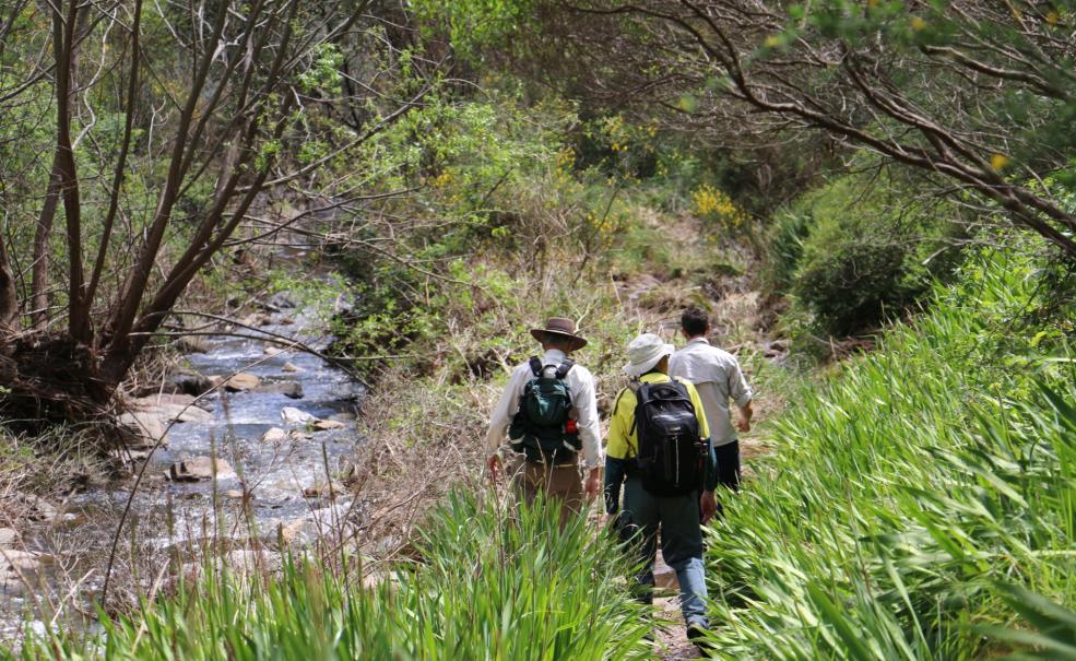 Morialta Wilderness and Wildlife Hike, Adelaide